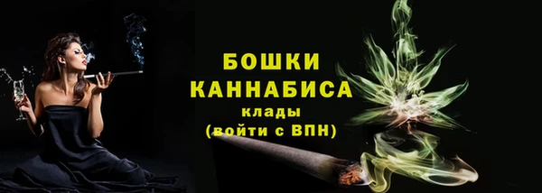 дмт Нея