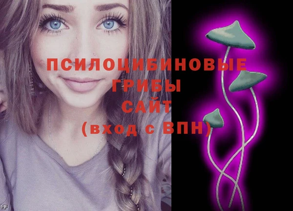 дмт Нея