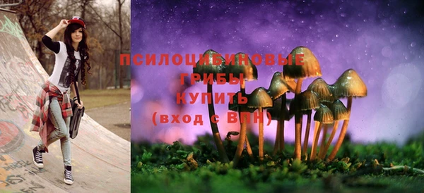 дмт Нея