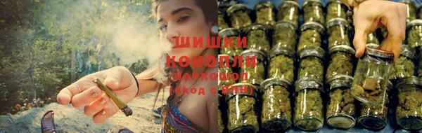 спайс Нефтекумск